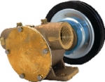 Johnson 101302295 Engine Cooling Pump
